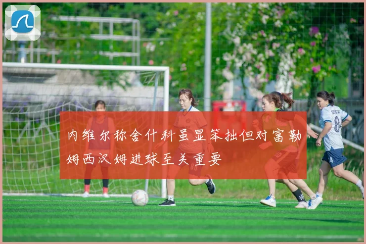 内维尔称舍什科虽显笨拙但对富勒姆西汉姆进球至关重要
